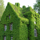 Illustration for article titled The Most Colorful Houses Engulfed in Vegetation